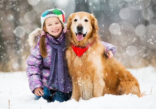 Safe Winter Adventures with Pets